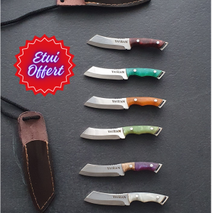 Couteau artisanal de collection avec lames interchangeables et étui en cuir fait main