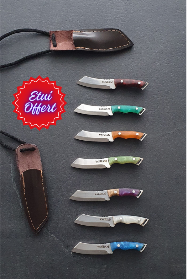 Couteau artisanal de collection avec lames interchangeables et étui en cuir fait main